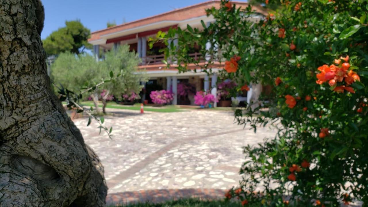 Hotel Brifs Shëngjin Exterior foto