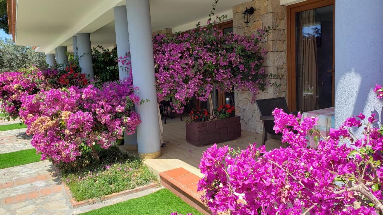 Hotel Brifs Shëngjin Exterior foto