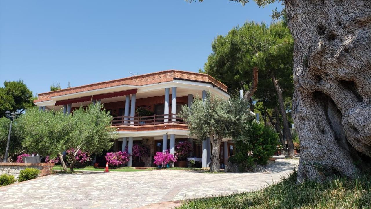 Hotel Brifs Shëngjin Exterior foto