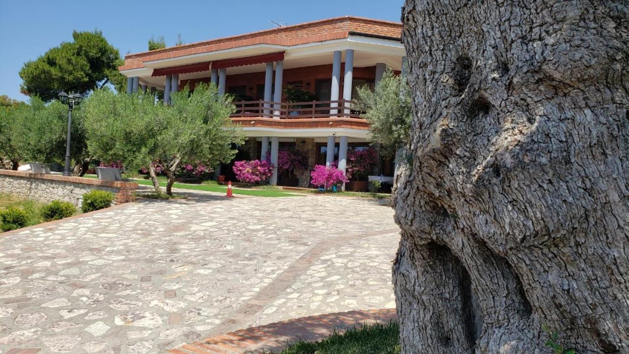 Hotel Brifs Shëngjin Exterior foto