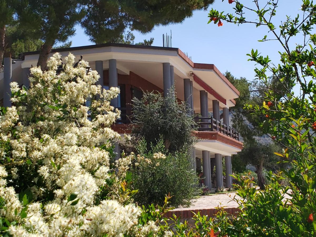 Hotel Brifs Shëngjin Exterior foto
